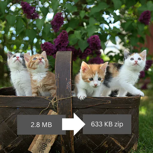 Bulk image optimization presented as cats in a basket